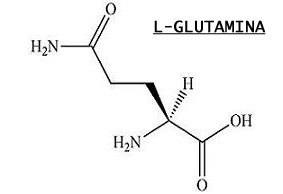 glutamina